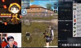 原神鸡哥爆料视频大全集,揭秘游戏幕后故事与精彩瞬间